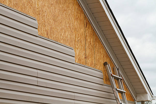 Professional Wood Siding technician working in Freeburg, IL